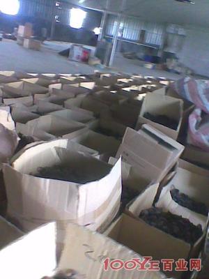 惠州專業(yè)二手設(shè)備回收 高價(jià)收購(gòu)，信譽(yù)保障